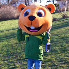 IMG 155